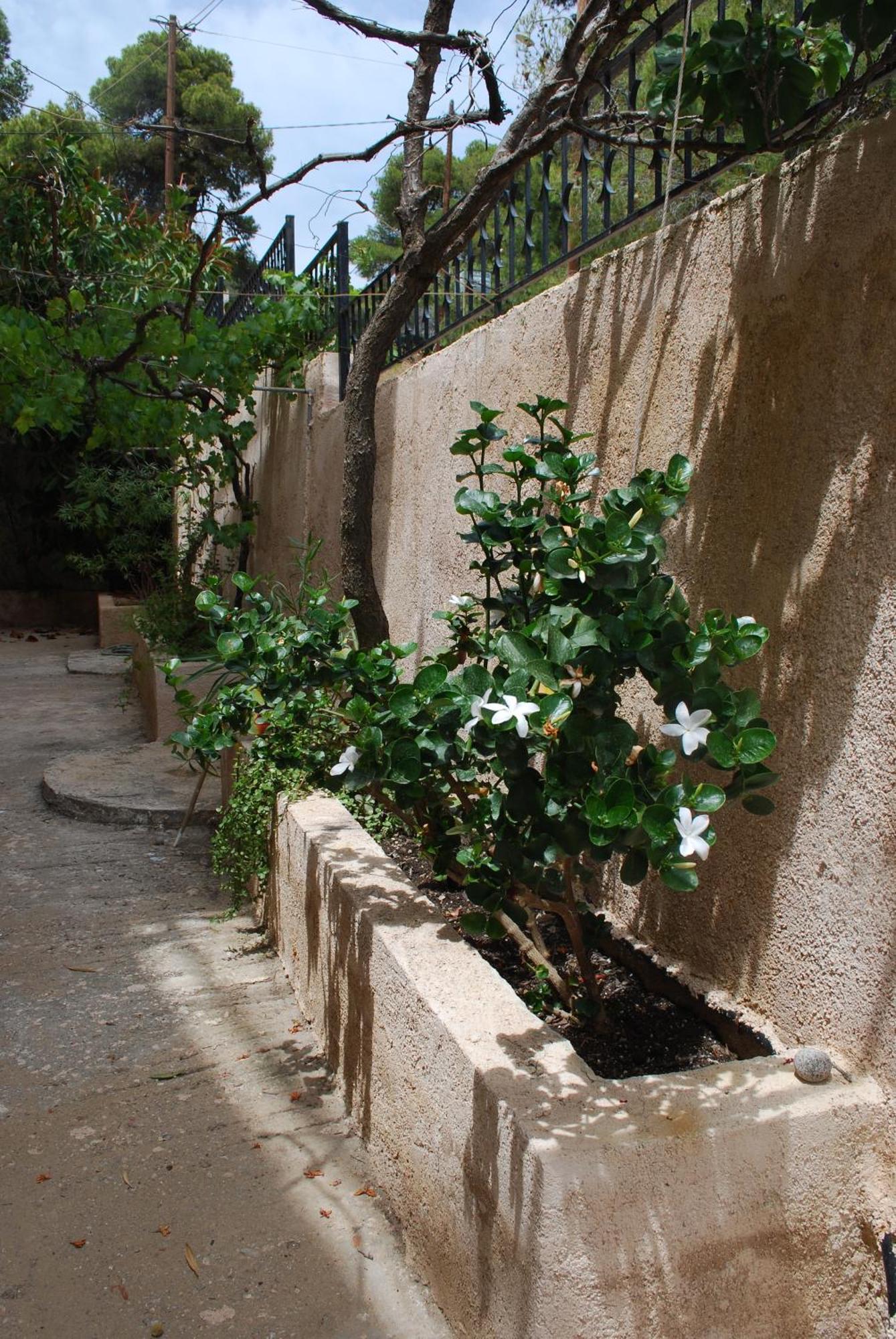 Sunset Rooms Agia Marina  Exterior foto